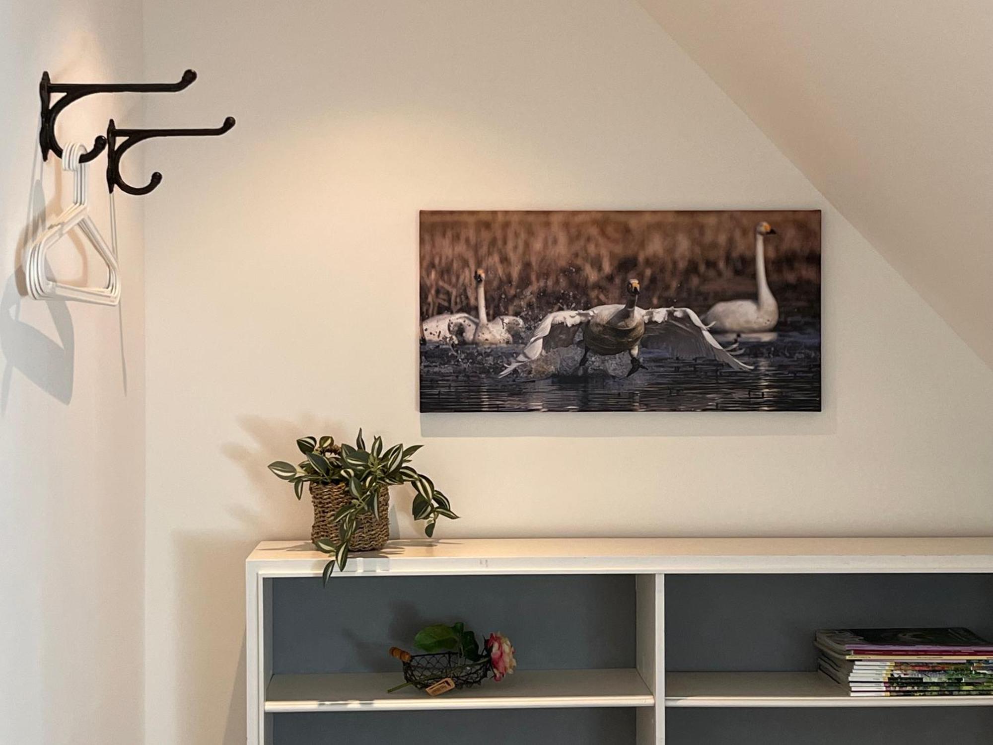 Elb Nest Gaestehaus Neu Darchau Exteriér fotografie
