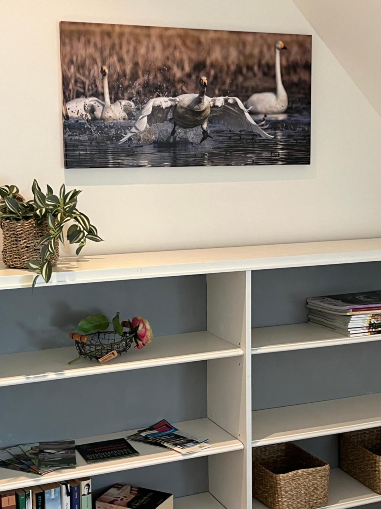 Elb Nest Gaestehaus Neu Darchau Exteriér fotografie